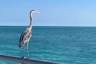 188 Bayshore Dr, Melbourne Beach, FL 32951 - Photo 62