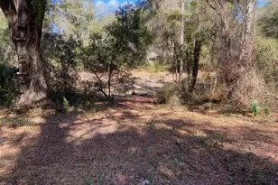 15137 NE 141st St, Fort Mc Coy, FL 32134 - Photo 4