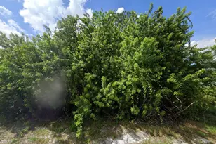 1398 Parham Ave SE, Palm Bay, FL 32909 - Photo 1