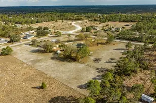 2500 Lake Josephine Dr, Sebring, FL 33875 - Photo 72