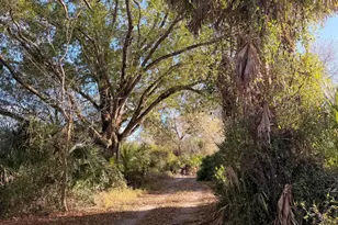 1907 NE 308th St, Okeechobee, FL 34972 - Photo 6