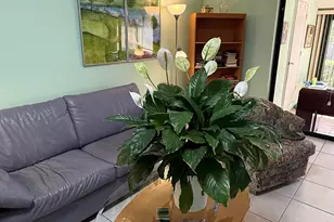 542 Shady Pine Way, Greenacres, FL 33415 - Photo 12