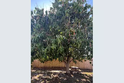 4611 NE 15th Avenue, Deerfield Beach, FL 33064 - Photo 14