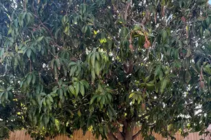 4611 NE 15th Ave, Pompano Beach, FL 33064 - Photo 14