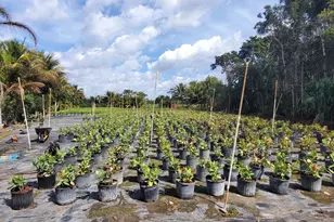 10655 61st St S, Wellington, FL 33449 - Photo 1