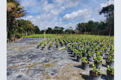 10655 61 Street S, Wellington, FL 33449 - Photo 4