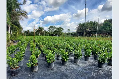 10655 61st Street S, Lake Worth Beach, FL 33449 - Photo 6