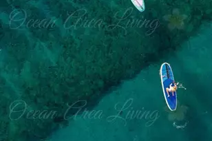 1200 Hibiscus Ave, Pompano Beach, FL 33062 - Photo 86