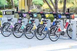 1200 Hibiscus Ave, Pompano Beach, FL 33062 - Photo 80