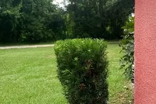 509 E Magnolia St, Kissimmee, FL 34744 - Photo 12