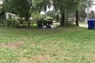 509 E Magnolia St, Kissimmee, FL 34744 - Photo 4