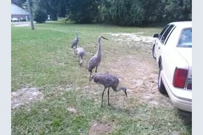 509 E Magnolia Street, Kissimmee, FL 34744 - Photo 8