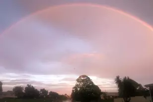 1199 SW 25th Ave, Boynton Beach, FL 33426 - Photo 16