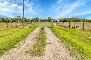 3901 Wild Turkey Trail Trail, Okeechobee, FL 34974 - Photo 38