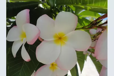 1440 Lexington Square SW, Vero Beach, FL 32962 - Photo 44