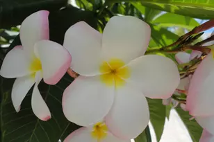 1440 Lexington Square SW, Vero Beach, FL 32962 - Photo 44