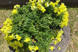 8680 US Hwy 441, Okeechobee, FL 34974 - Photo 10