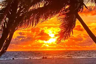 32 NE 22nd Ave, Pompano Beach, FL 33062 - Photo 18