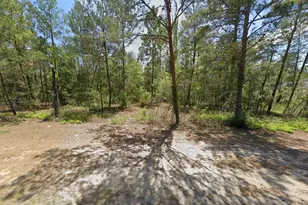 6255 W Oak Park Blvd, Homosassa, FL 34446 - Photo 1