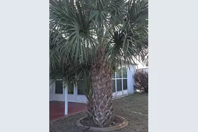 2915 Roger Street, Sebring, FL 33872 - Photo 22