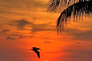 10751 S Ocean Dr, Jensen Beach, FL 34957 - Photo 2