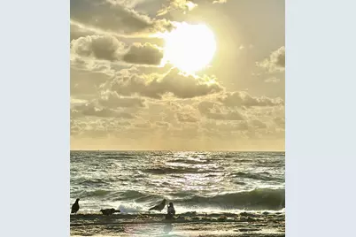 125 S Ocean Avenue #104, Palm Beach Shores, FL 33404 - Photo 70