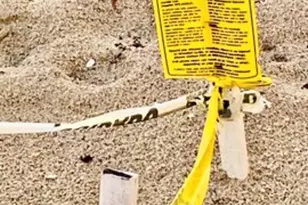 125 S Ocean Ave, Palm Beach Shores, FL 33404 - Photo 90