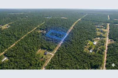 10655 Turpin Avenue, Hastings, FL 32145 - Photo 2