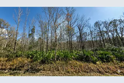 10660 Turpin Avenue, Hastings, FL 32145 - Photo 2