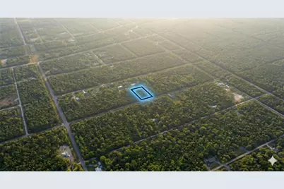 10660 Turpin Avenue, Hastings, FL 32145 - Photo 4