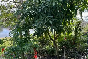 9861 Galleon Dr, West Palm Beach, FL 33411 - Photo 12