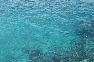 721 Lori Dr, Palm Springs, FL 33461 - Photo 74