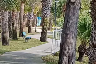 721 Lori Dr, Palm Springs, FL 33461 - Photo 54