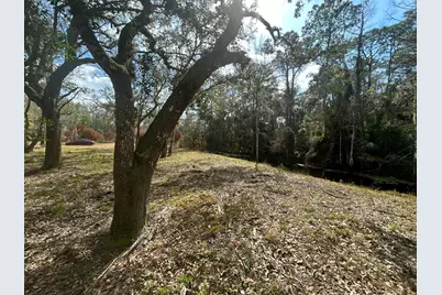 855 NW 368th Drive, Okeechobee, FL 34972 - Photo 6