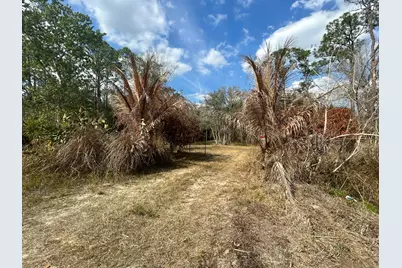 855 NW 368th Drive, Okeechobee, FL 34972 - Photo 1