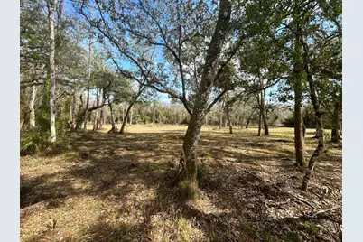 855 NW 368th Drive, Okeechobee, FL 34972 - Photo 4