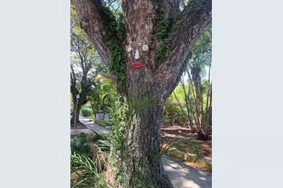 805 Sunset Road, West Palm Beach, FL 33401 - Photo 2