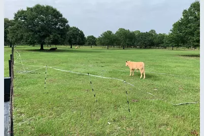 635 N Ffa Road, Fort Pierce, FL 34945 - Photo 8