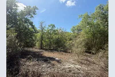 21668 NW 266th Street, Okeechobee, FL 34972 - Photo 4