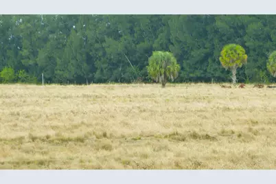 Tbd Kelly Road, Fort Pierce, FL 34945 - Photo 4