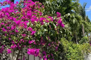 480 W Camino Real, Boca Raton, FL 33432 - Photo 12