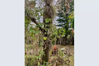 6685 Lakeside Road, West Palm Beach, FL 33411 - Photo 6