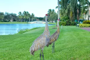 2590 Kittbuck Way, West Palm Beach, FL 33411 - Photo 48