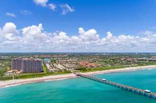 801 Hibiscus Ave, Juno Beach, FL 33408 - Photo 30