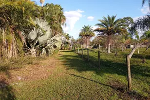 4500 SW Boatramp Ave, Palm City, FL 34990 - Photo 78