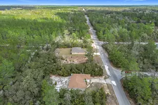 50 Malauka Pass, Ocklawaha, FL 32179 - Photo 38