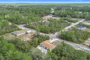 50 Malauka Pass, Ocklawaha, FL 32179 - Photo 40