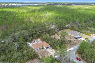 50 Malauka Pass, Ocklawaha, FL 32179 - Photo 36