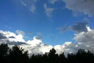 351 Del Monte Rd, Sebastian, FL 32958 - Photo 72