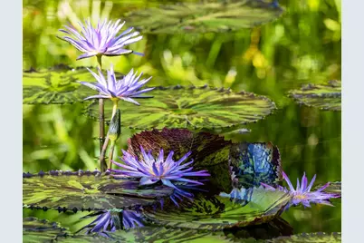 351 Del Monte Road #B, Sebastian, FL 32958 - Photo 76